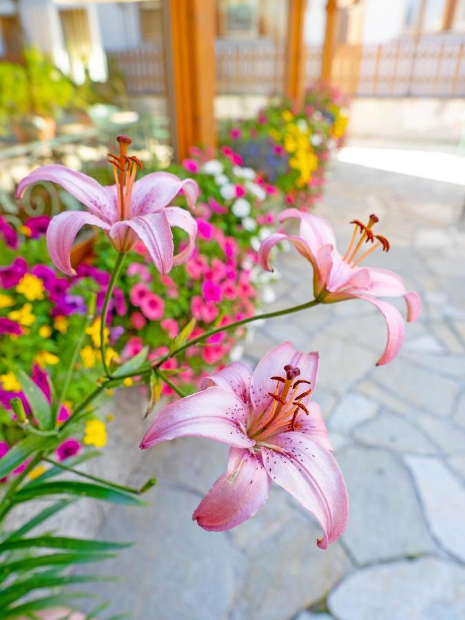 Albergo Alpenrose Livigno Zewnętrze zdjęcie